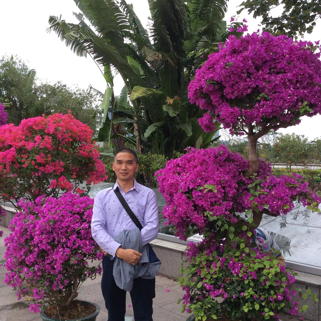 勿忘我（谢军）