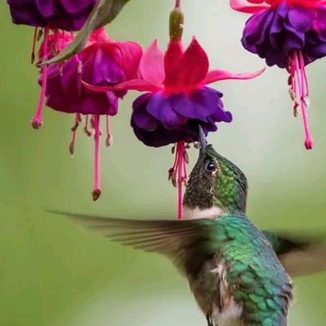 春夏秋冬(见赞必回)