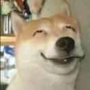 热心观众
