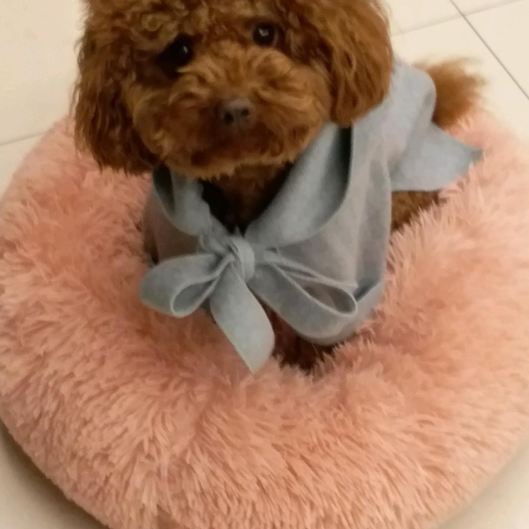 梅梅