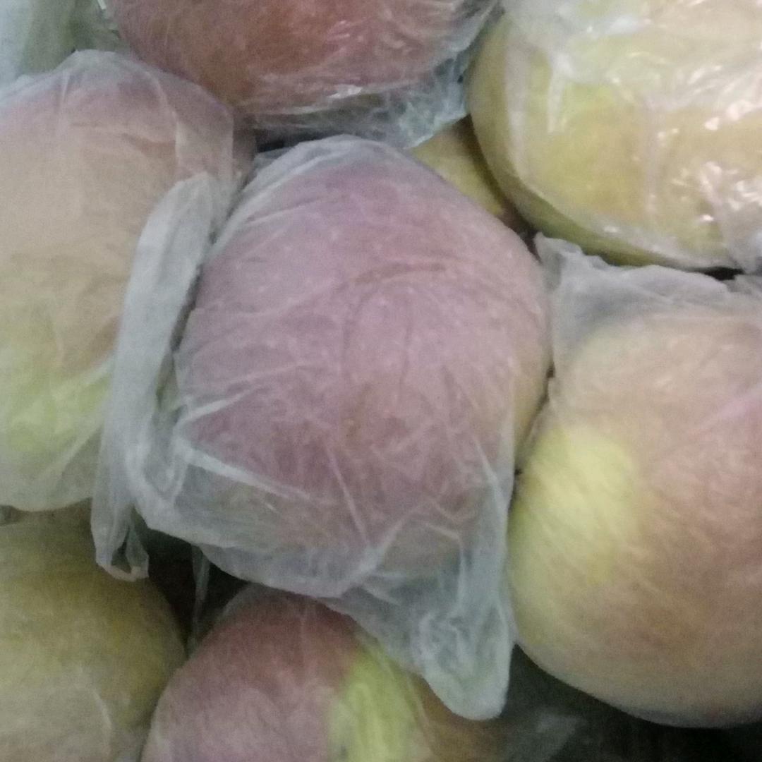 自己家种的本地红富士