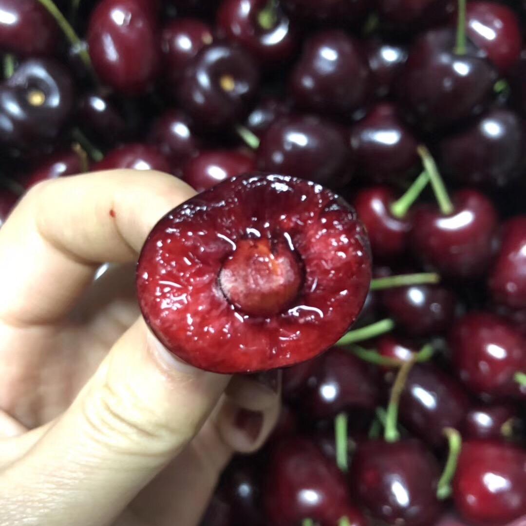 果味甜心小时达