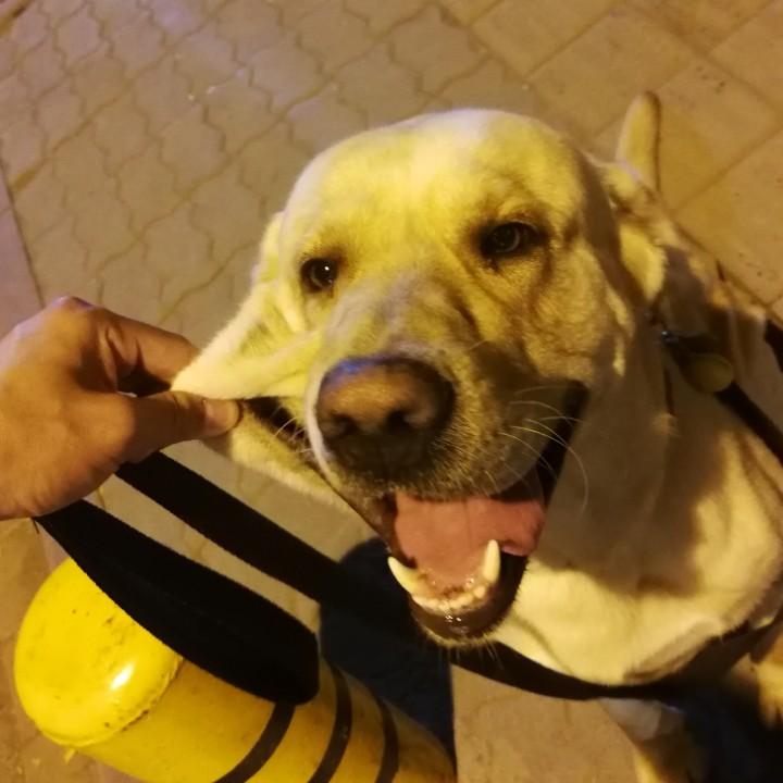 未知名行为艺术家