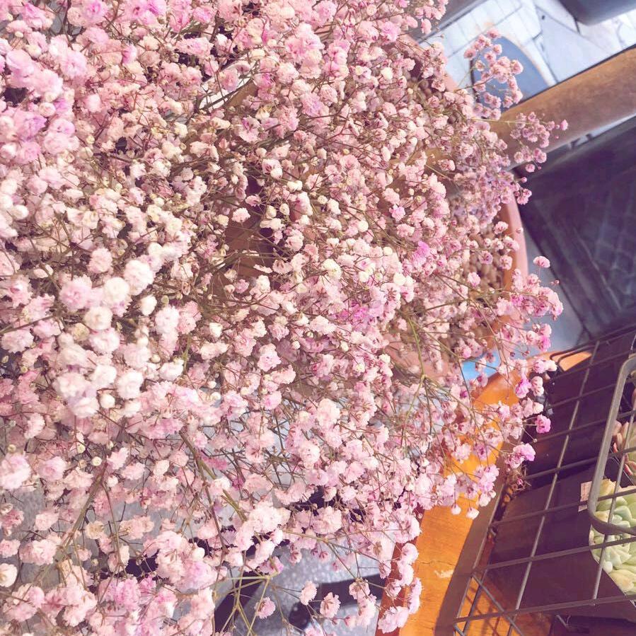 红姐