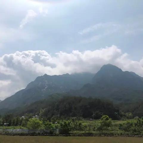 哈哈—NJ