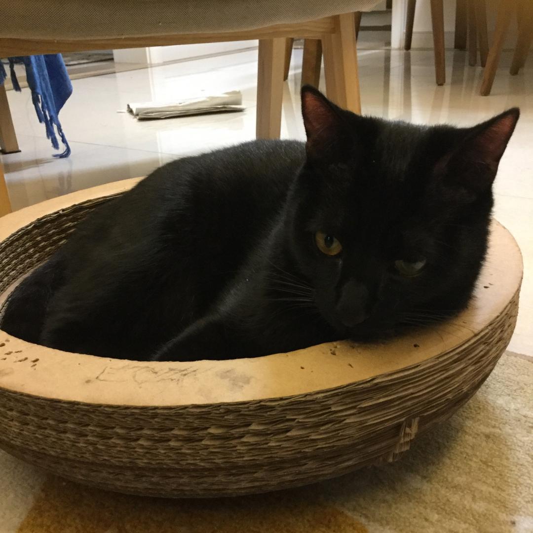 小宇宙子子子子