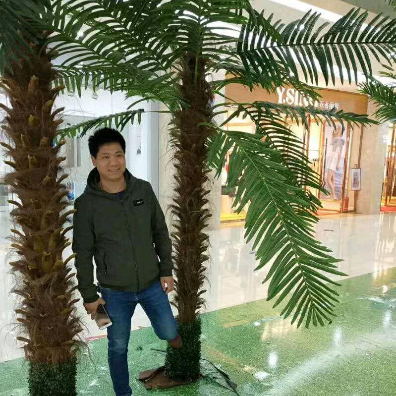 简简单单✨✨