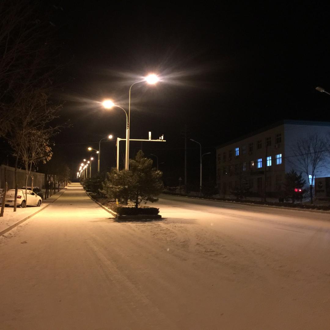 坐岸