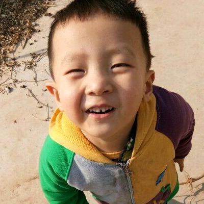 凤黄传奇、杨杨得亿