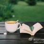 午后茶香