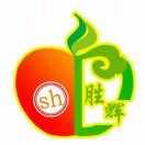 胜辉果业水果供应链