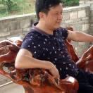 菊花茶（专做养生食材）