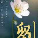 安守夲分612