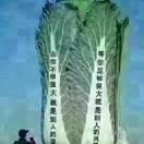 非遗花鸟字画