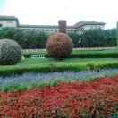 阿山（linjin山）@抖音