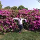 芳姐