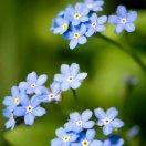 欢迎黎宇发少爷