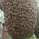 辛苦不是忙碌忙碌后那份孤寂