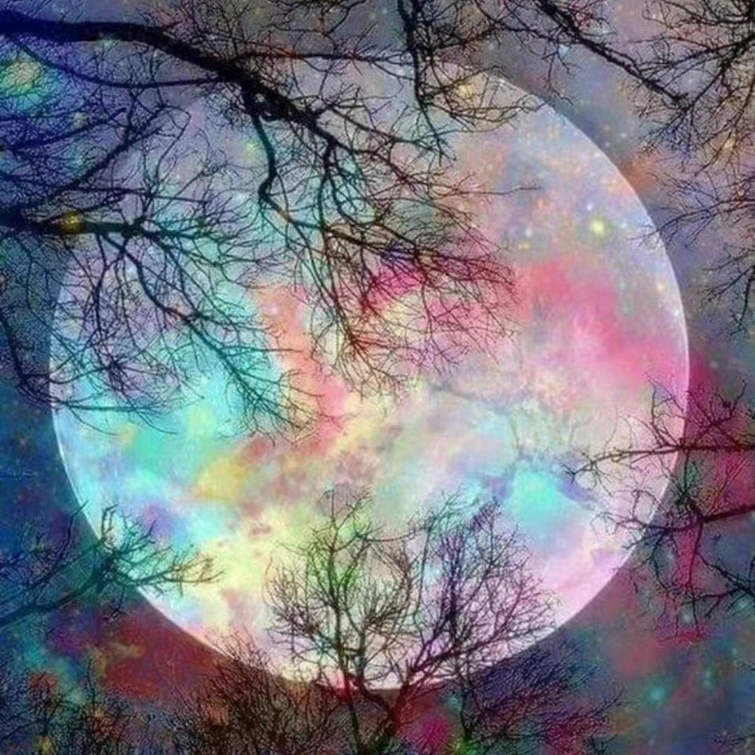 暖芋.