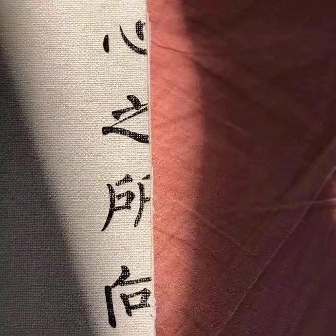 无敌珠珠姐