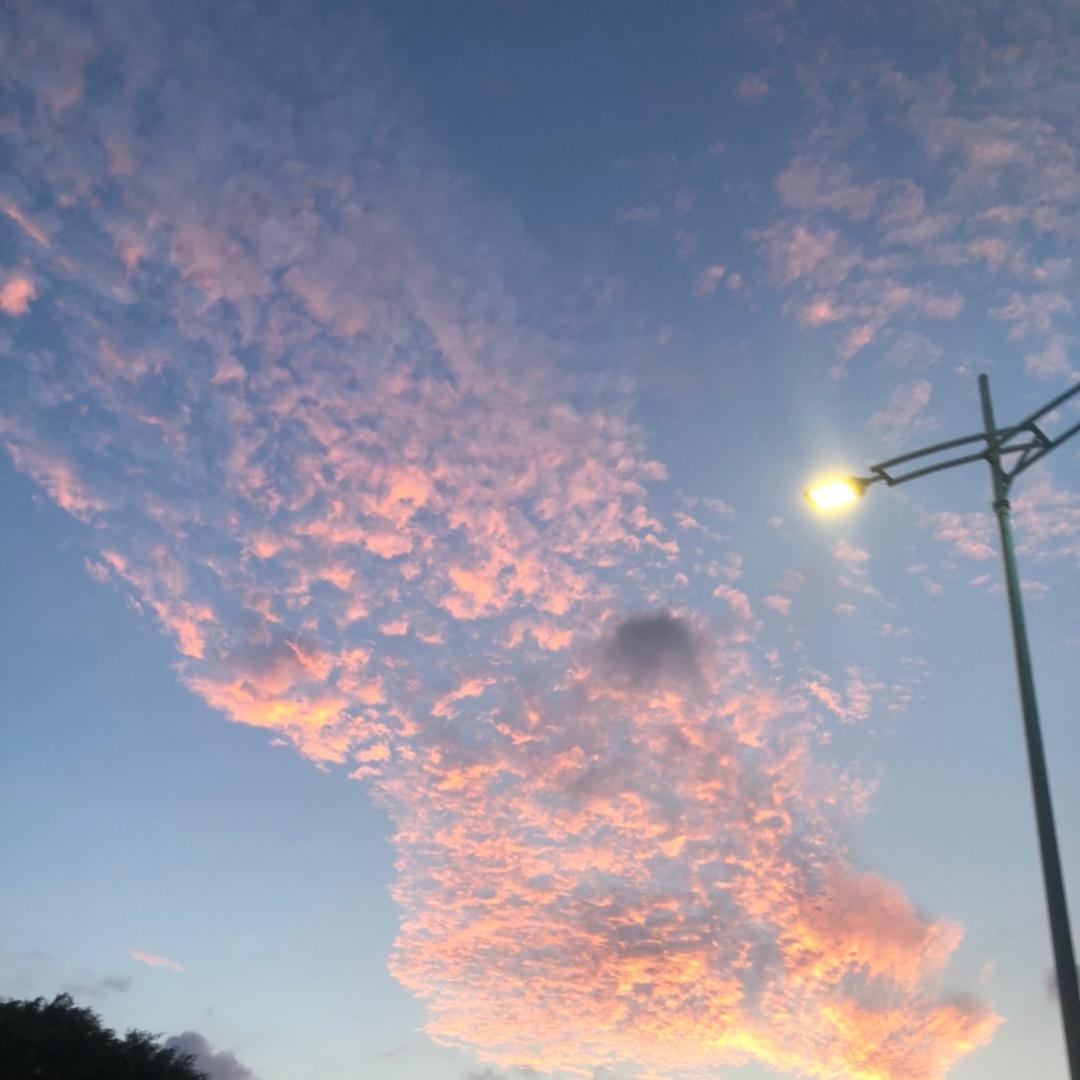 今天也很好。