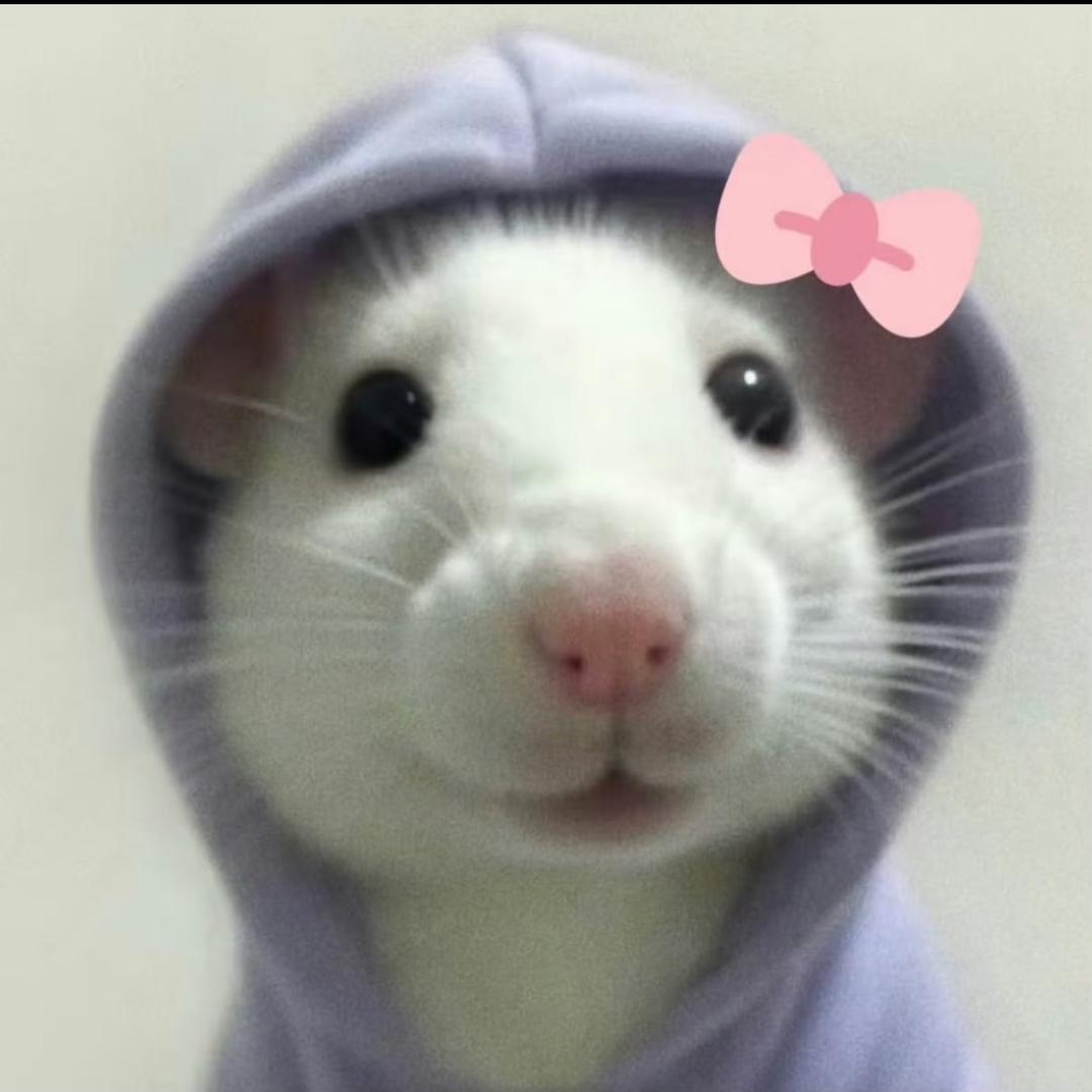 张好运🐁