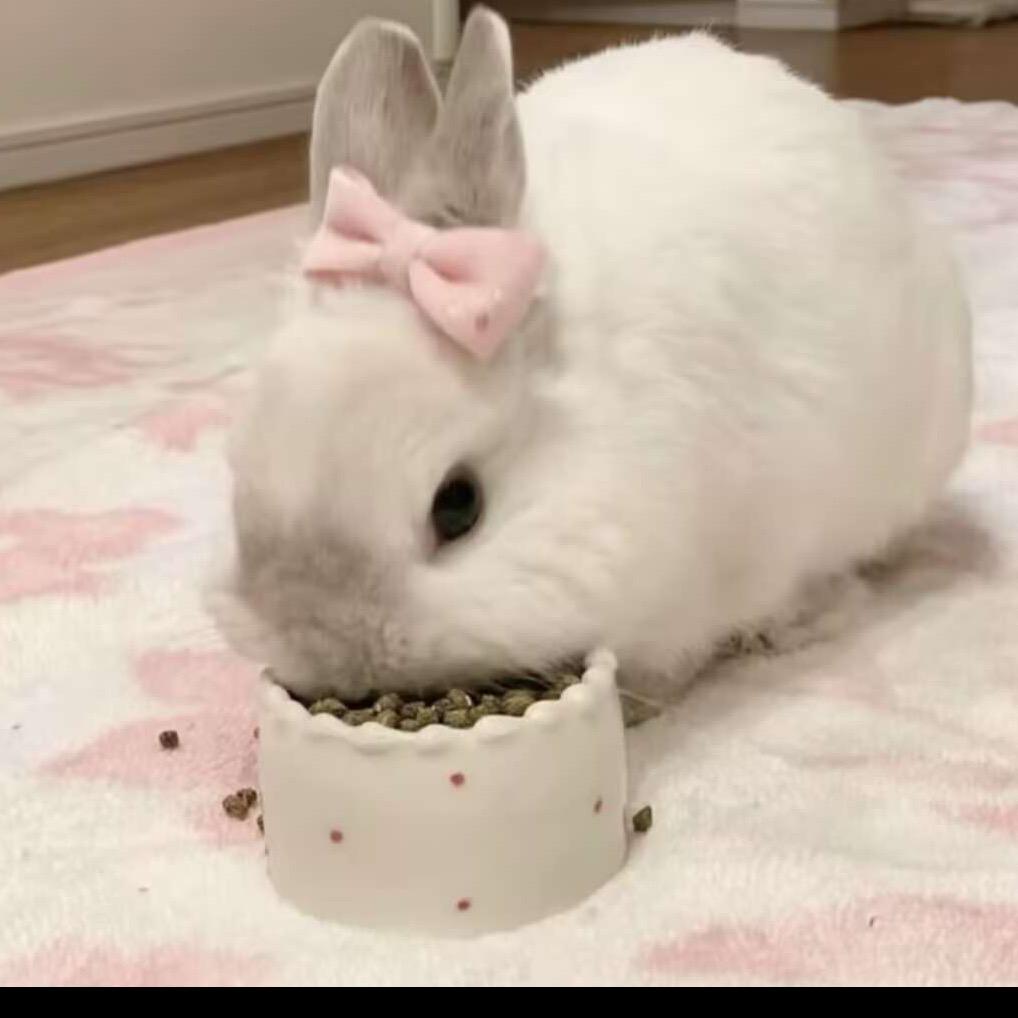 同花顺