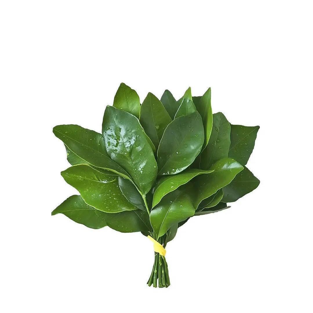 不想笨笨的