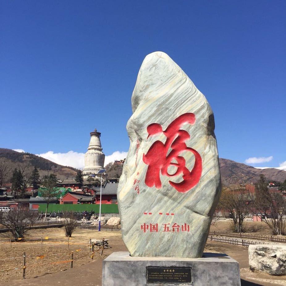 诚信阳光
