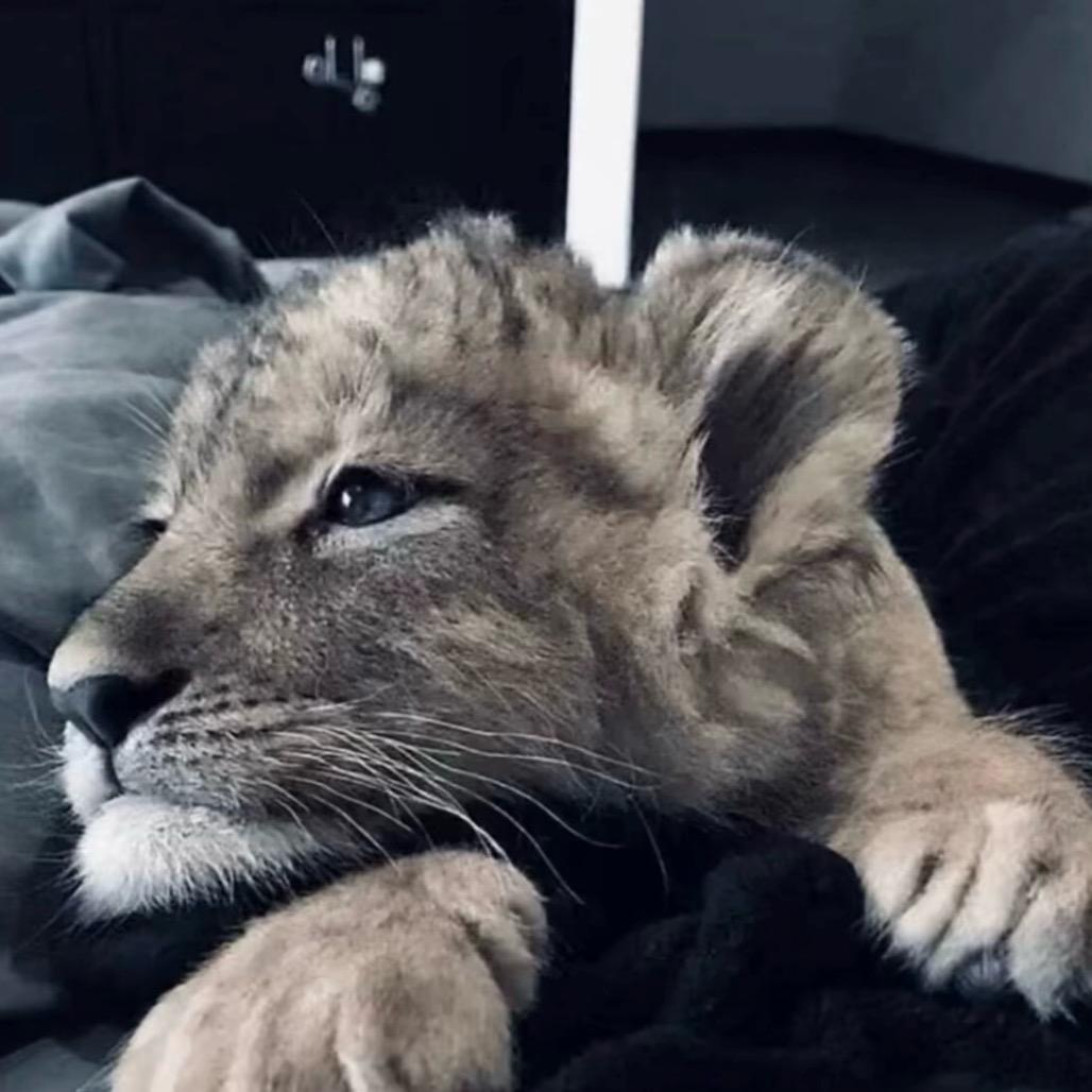 ࿐ 🪷昌都磊浩