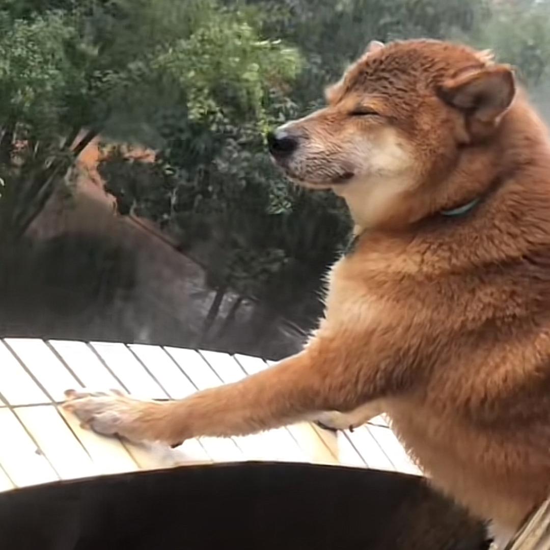 emo修勾