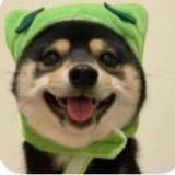 ZR…