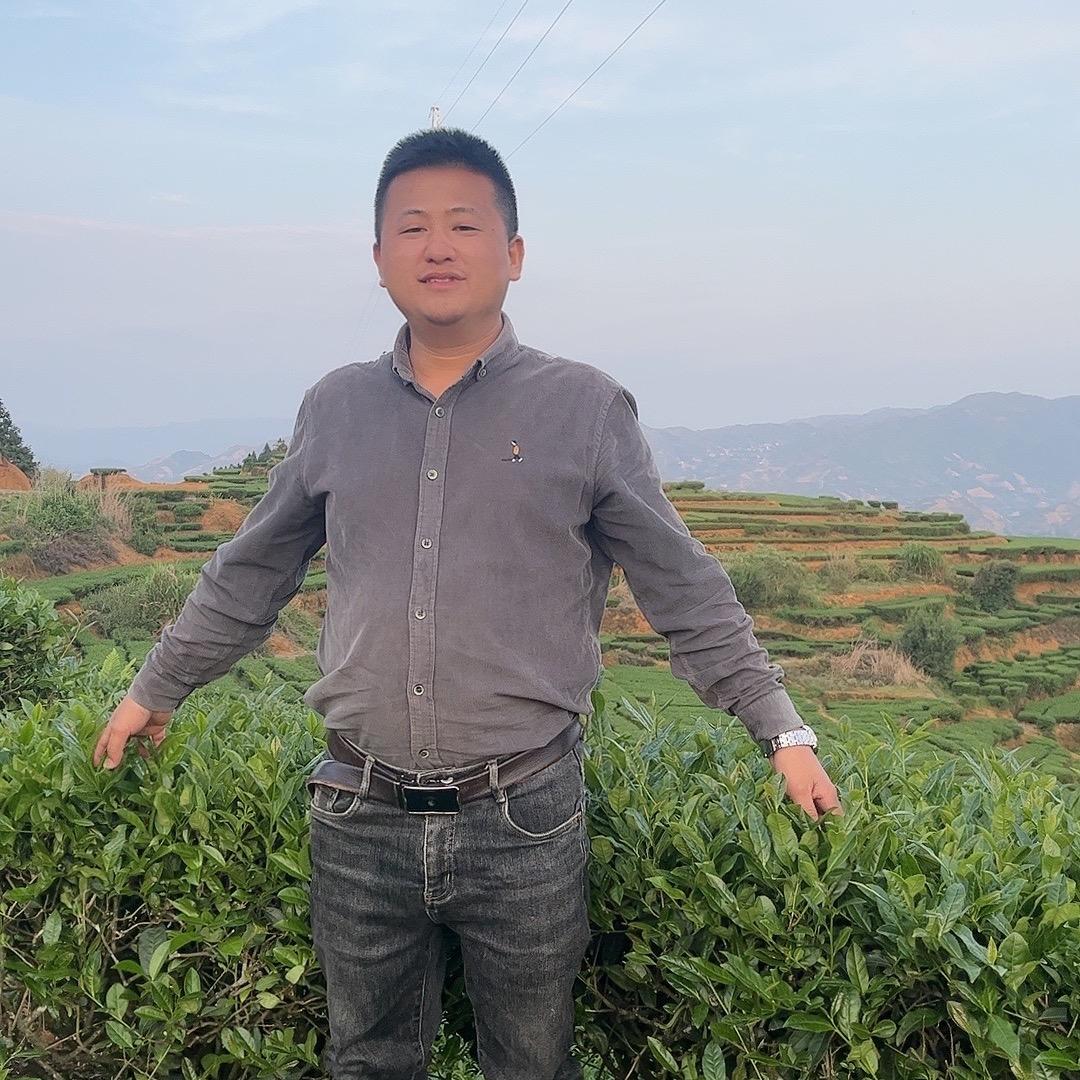 铁观音茶叶产地直销批发价