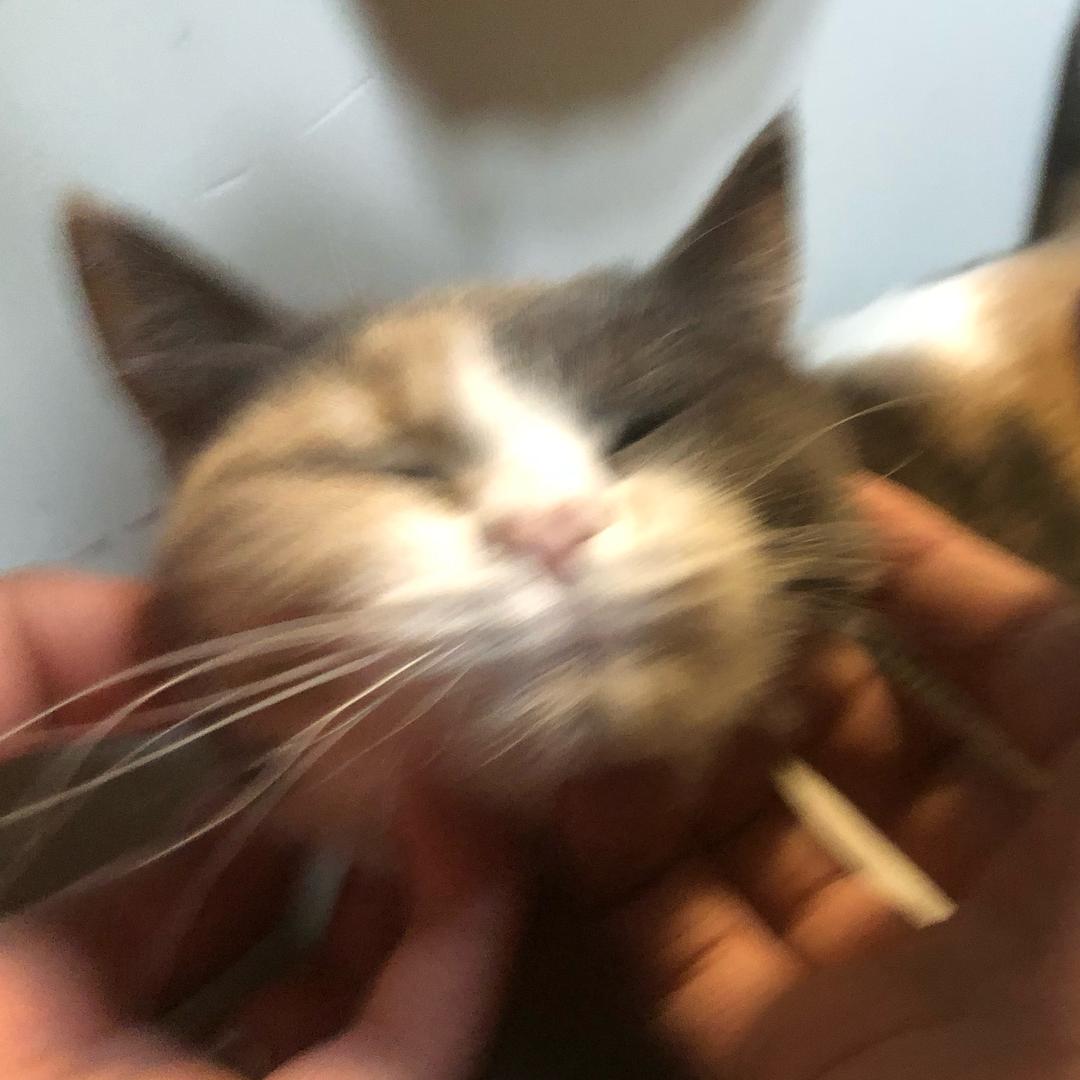 www.