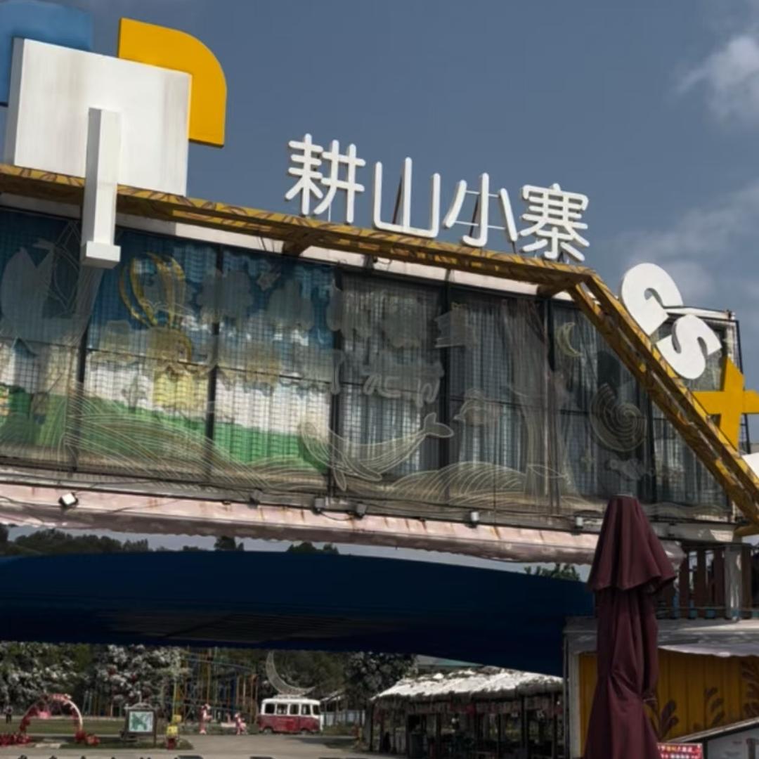 大桔看剧
