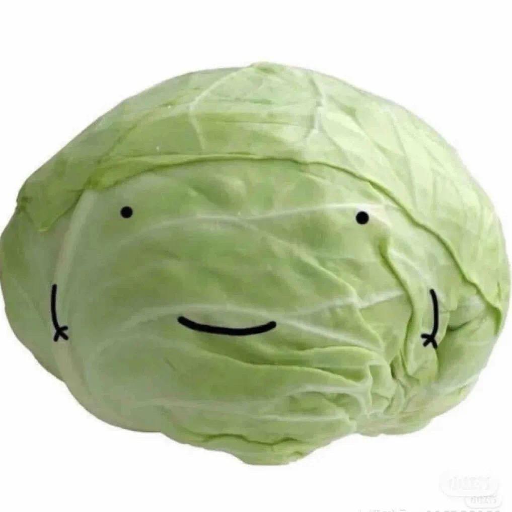 我真没睡！