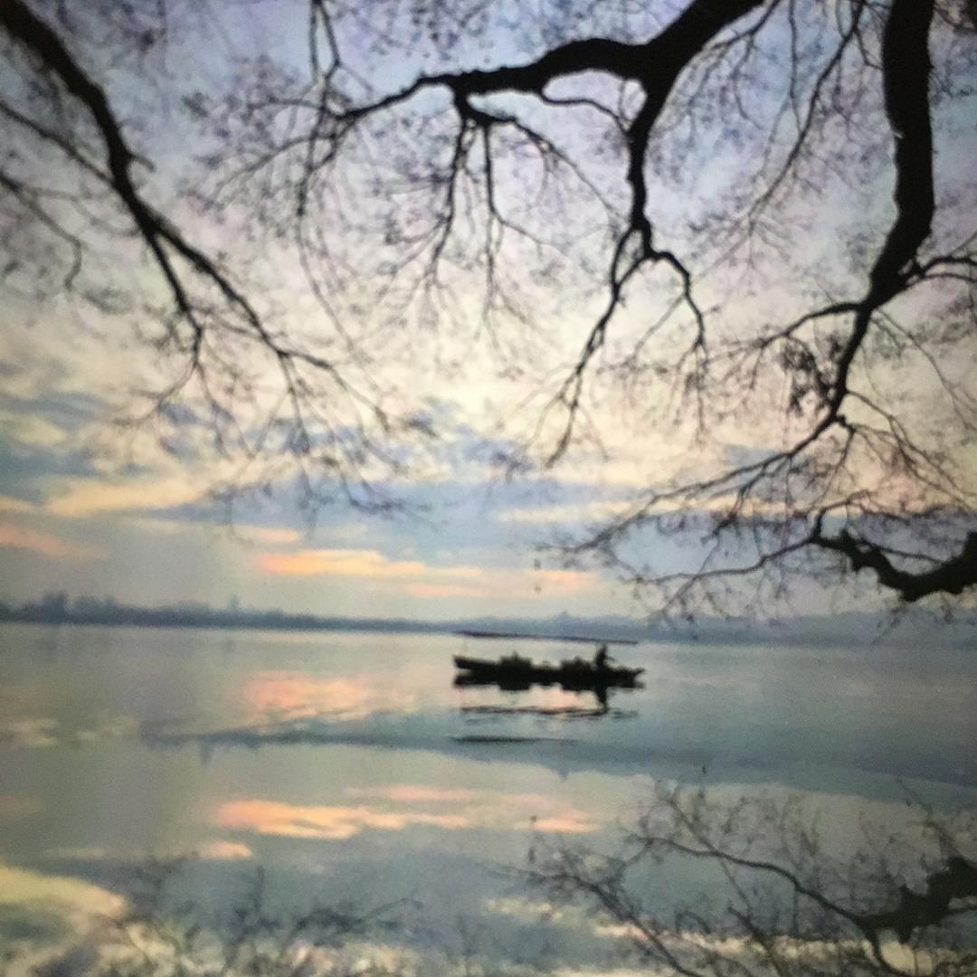 浪漫🌹陪伴🥂