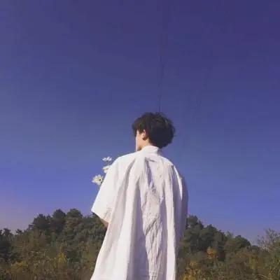 1231枫