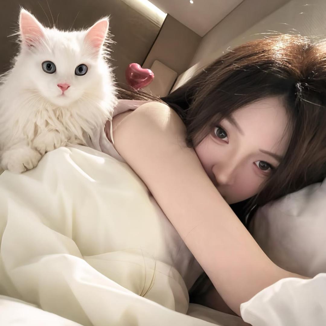 Q_Huihui
