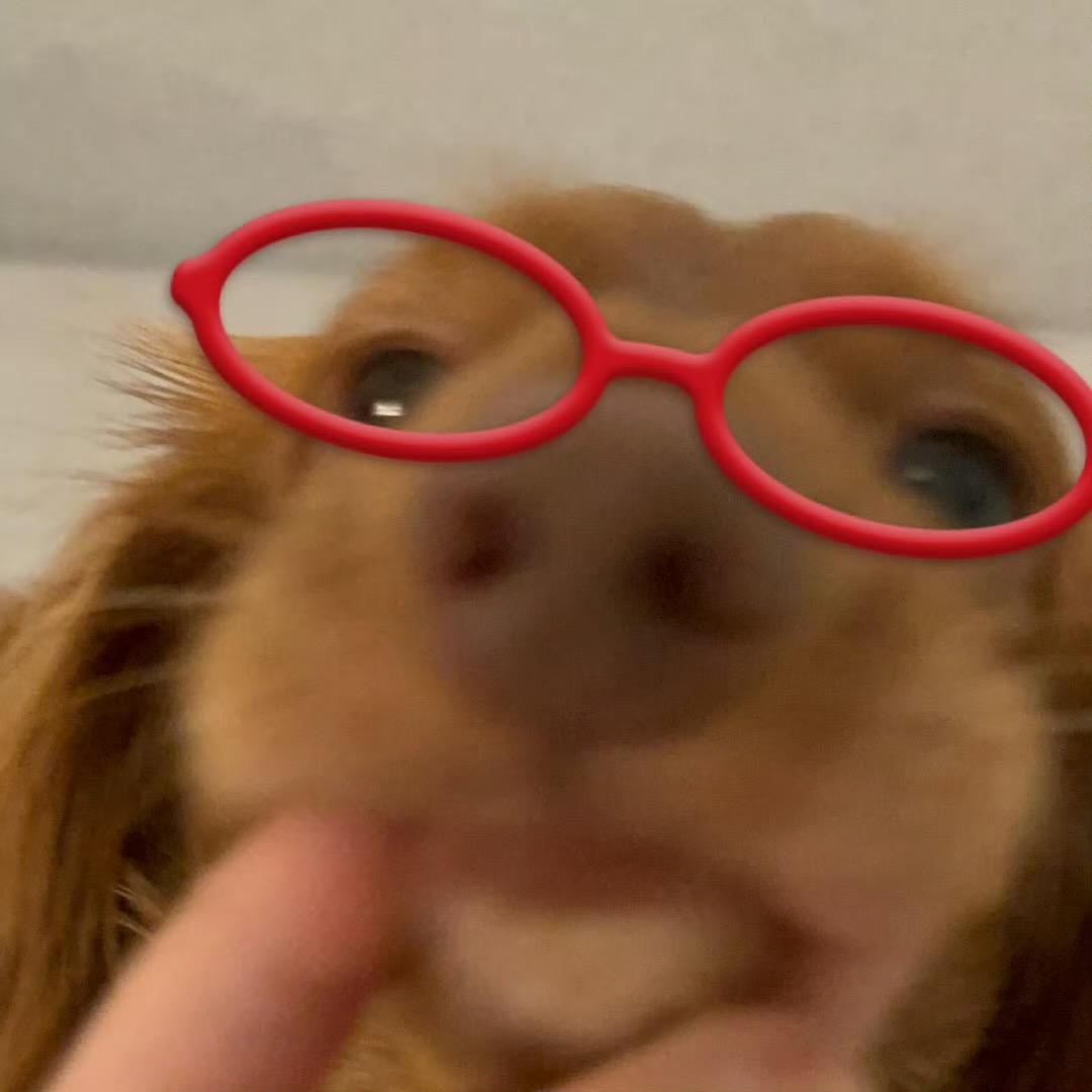 小梅