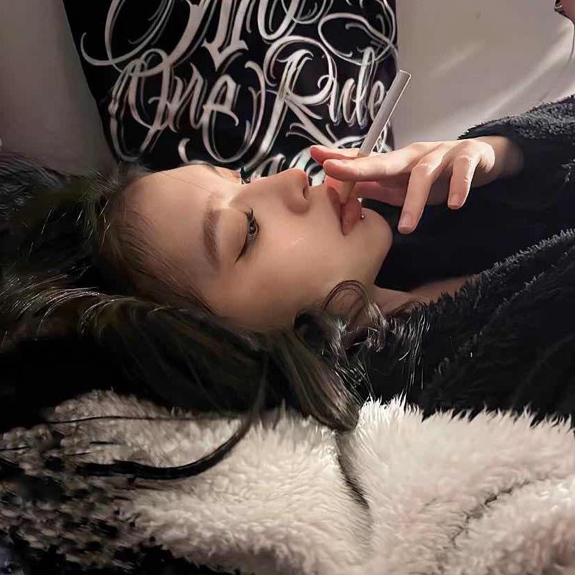 蓝皮鼠🐭