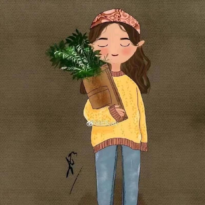 🌹🍁命运🪴🌲