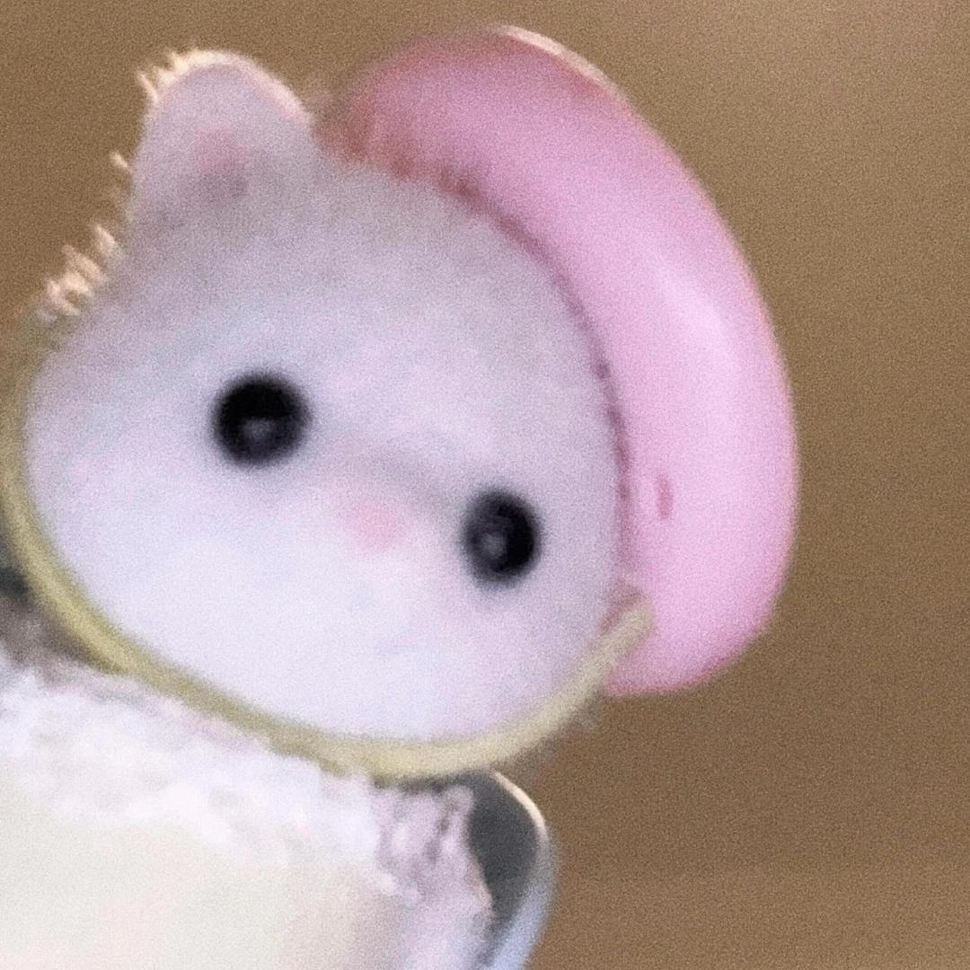 糖糖超爱吃