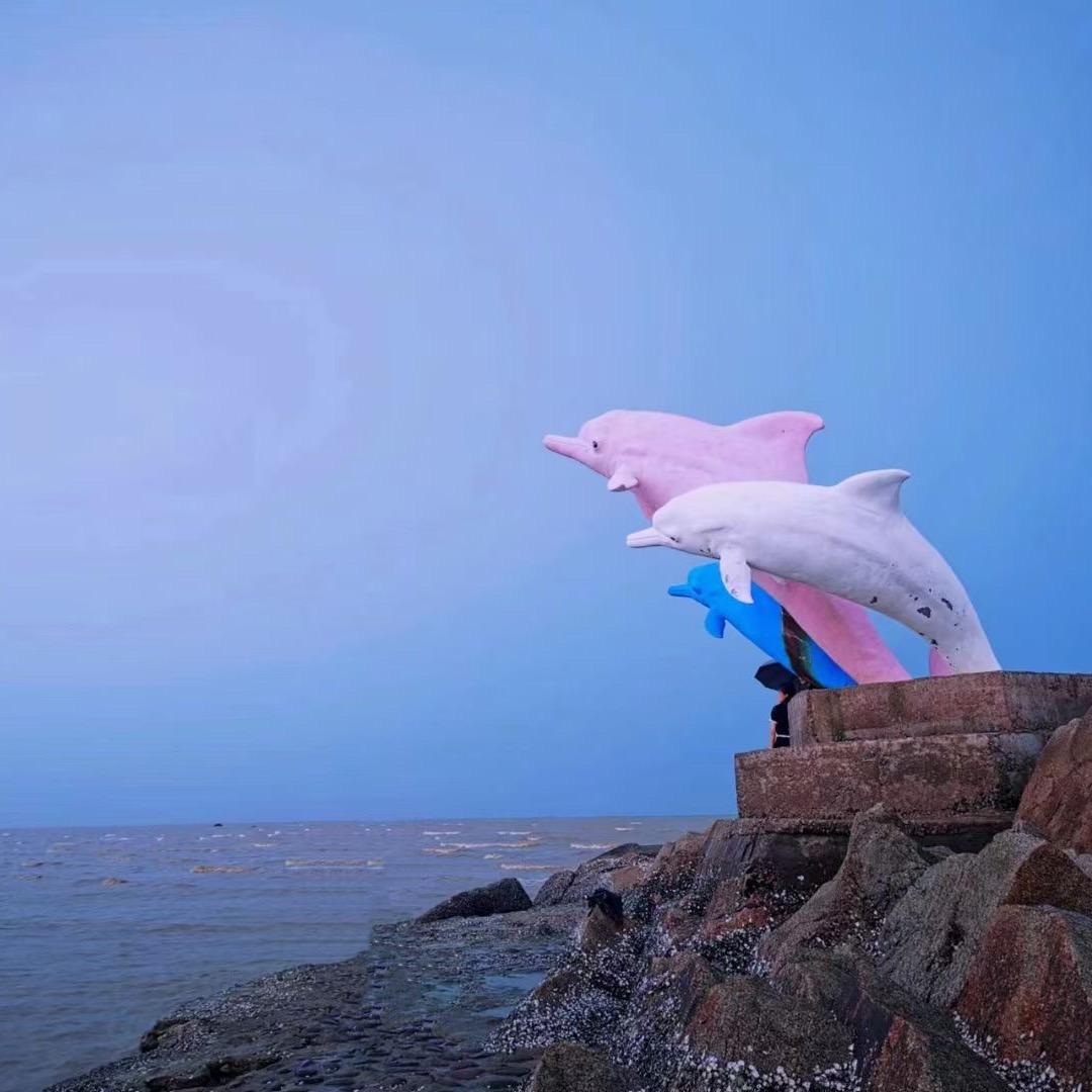 三娘湾包看粉色海豚
