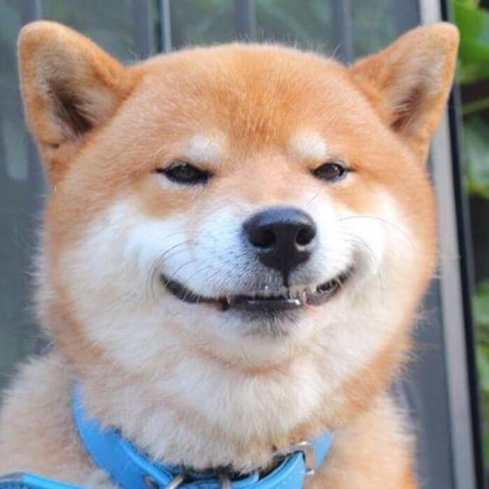 大仙来巡山