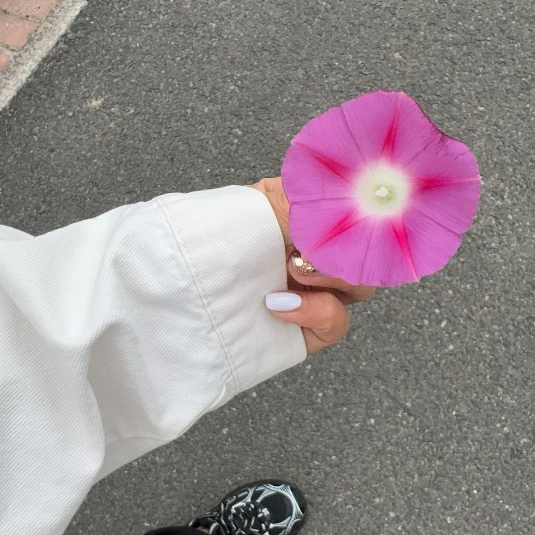 瑾美g