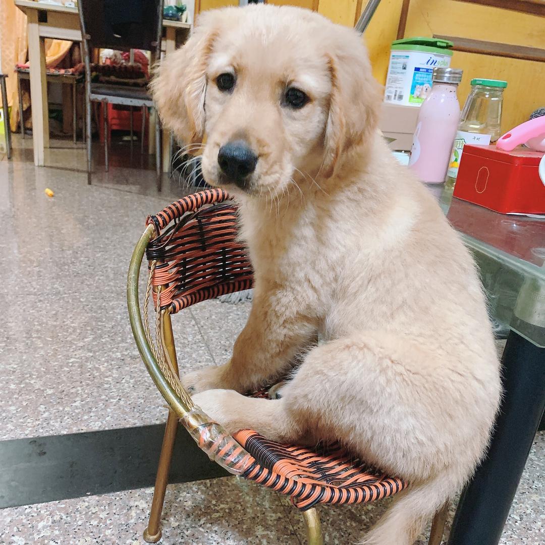 小啊笑