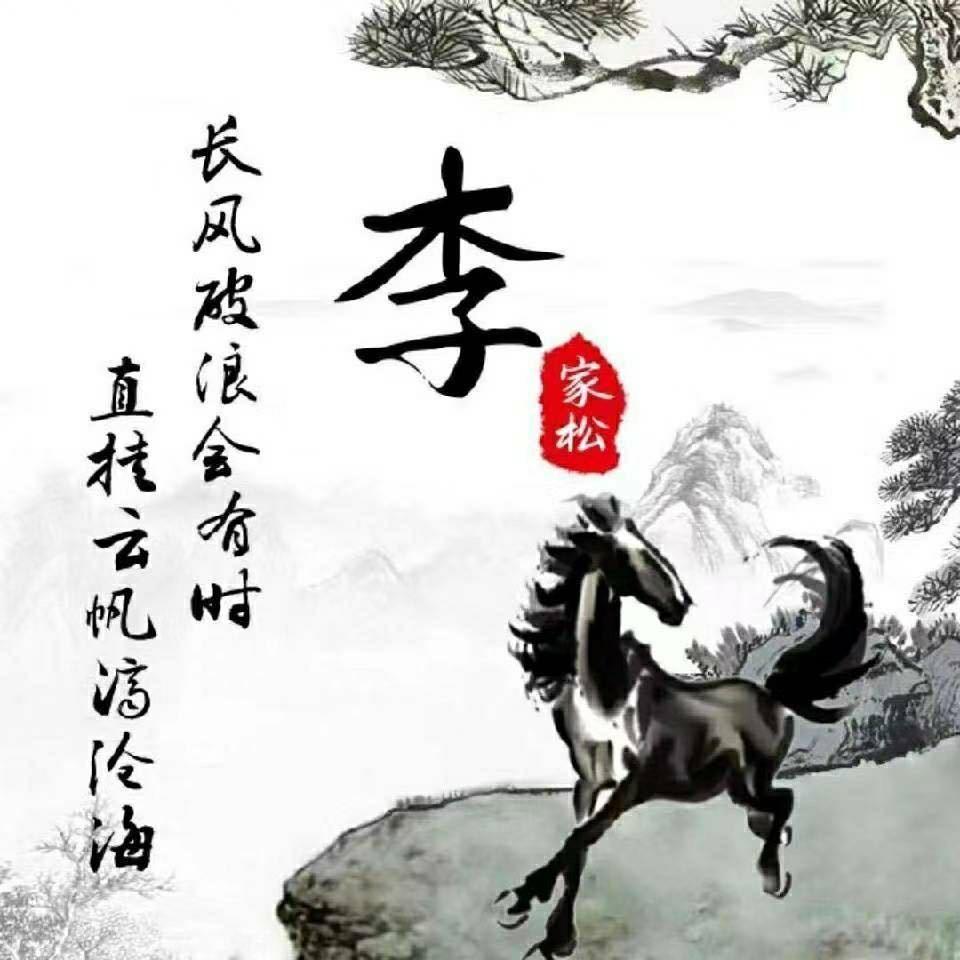 鄂C《挖机》