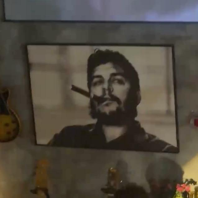 山里的一朵狗尾巴草