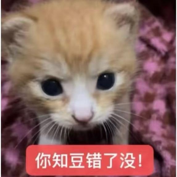 Qingsa